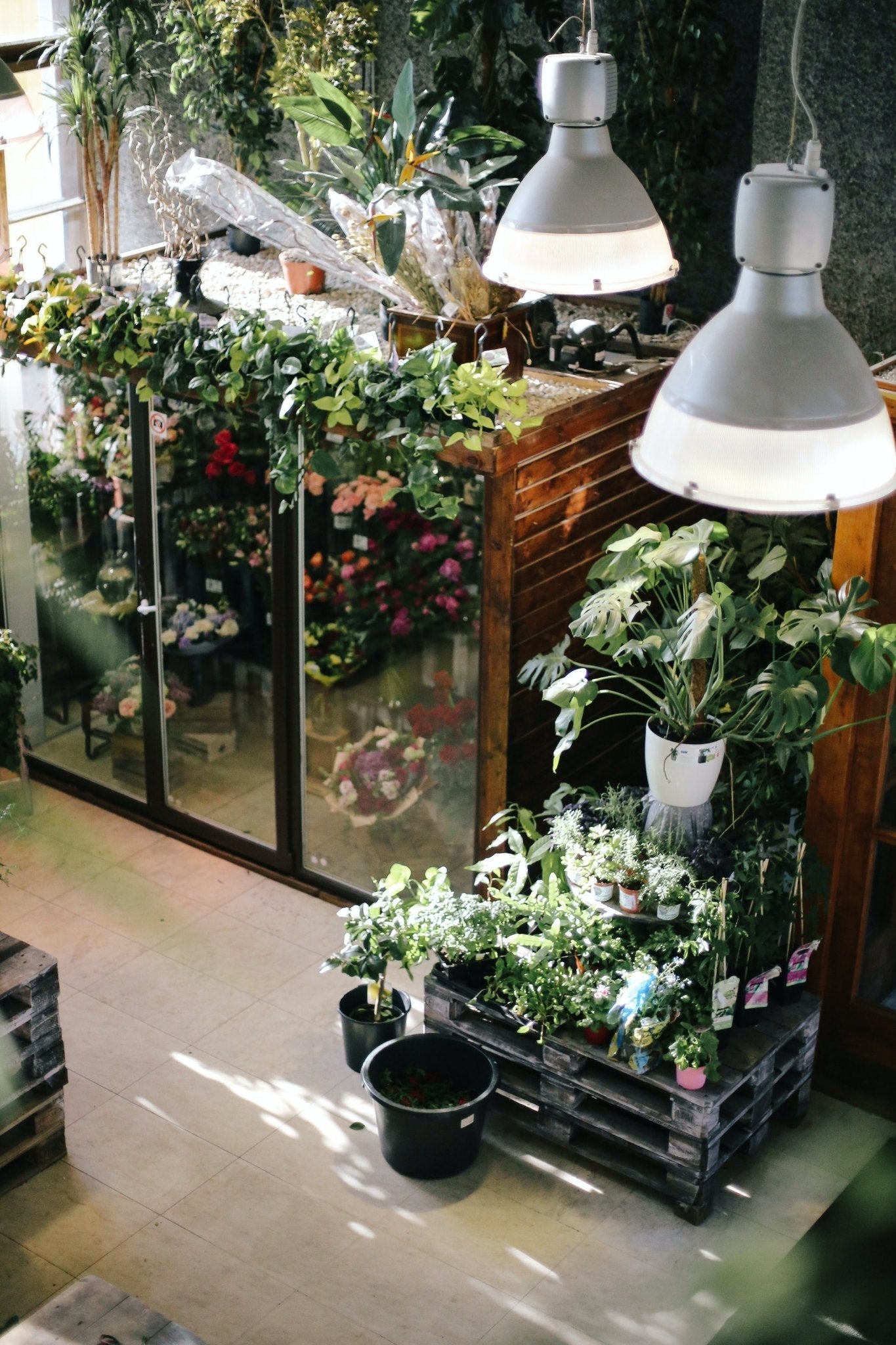 Benefits of Growing Your Own Herbs - Varnish + Vine