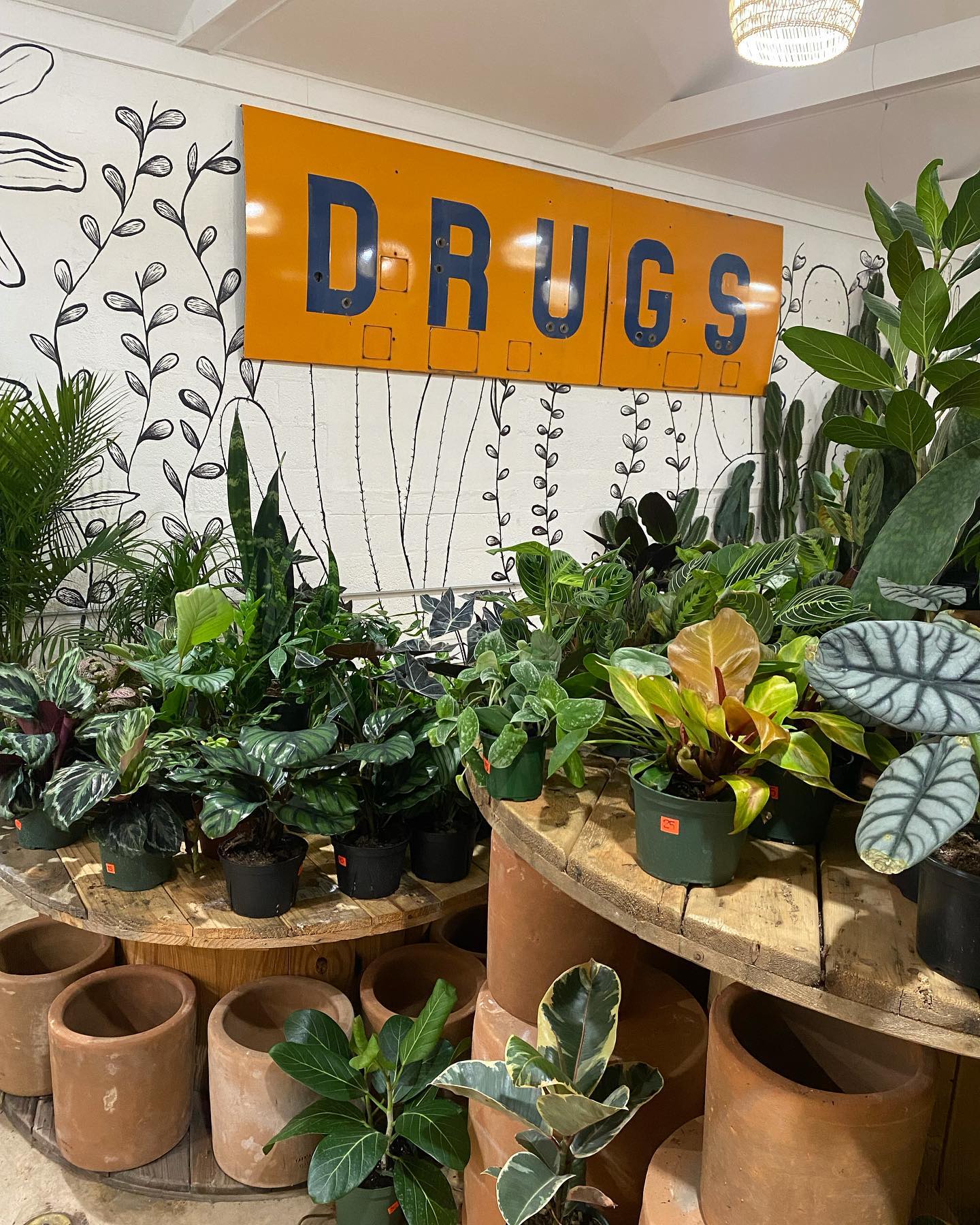 !!!TODAY IS THE DAY!!! 🌵 Varnish + Vine