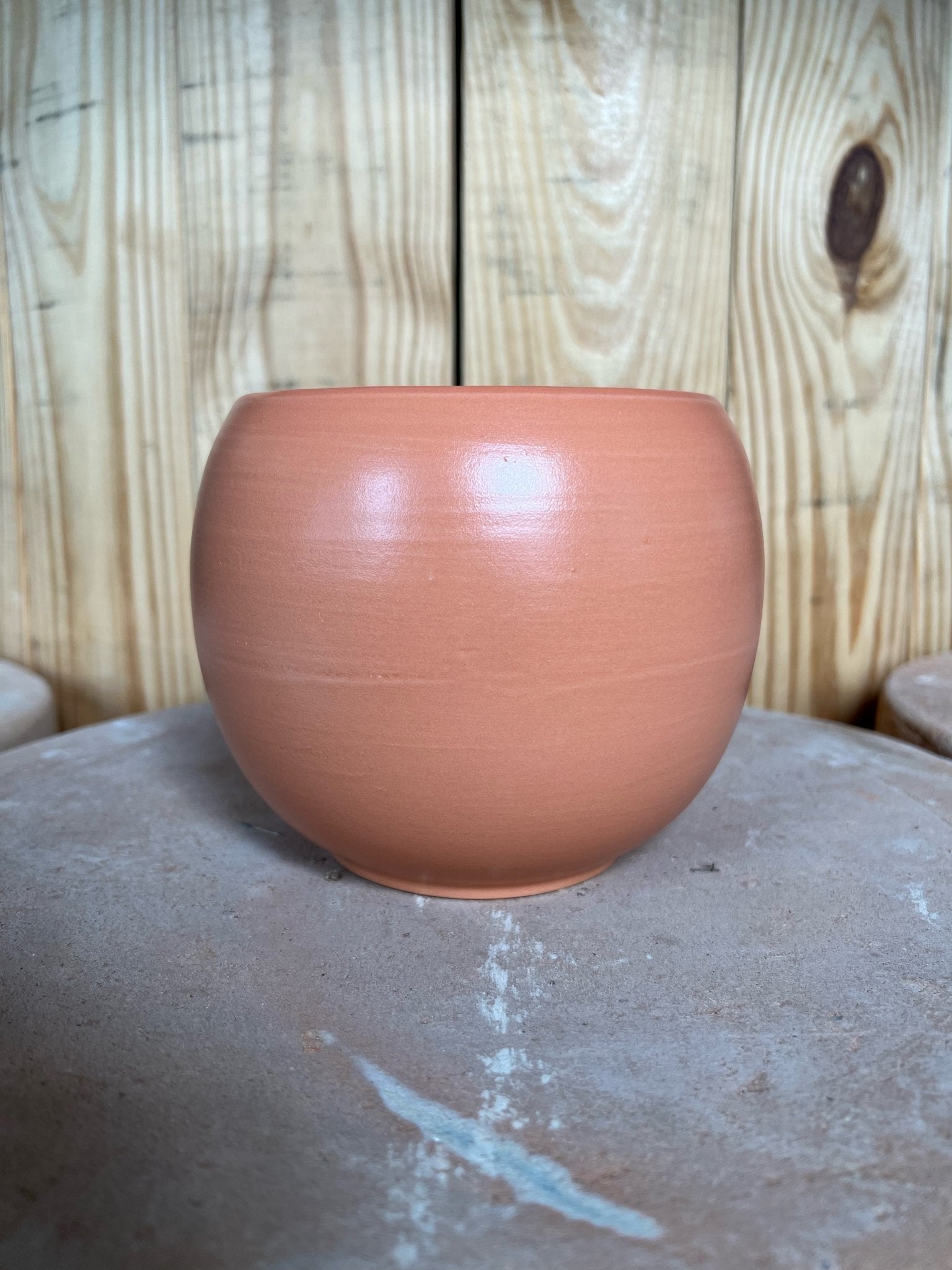 http://varnishandvine.com/cdn/shop/products/spherical-planter-pot-551546.jpg?v=1658295044