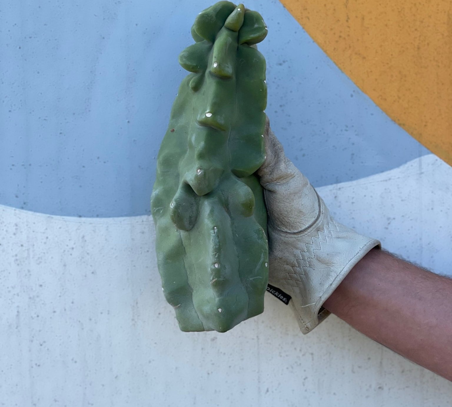 Totem Pole Cactus Cutting - cactus - Totem-Small - Varnish + Vine - 1