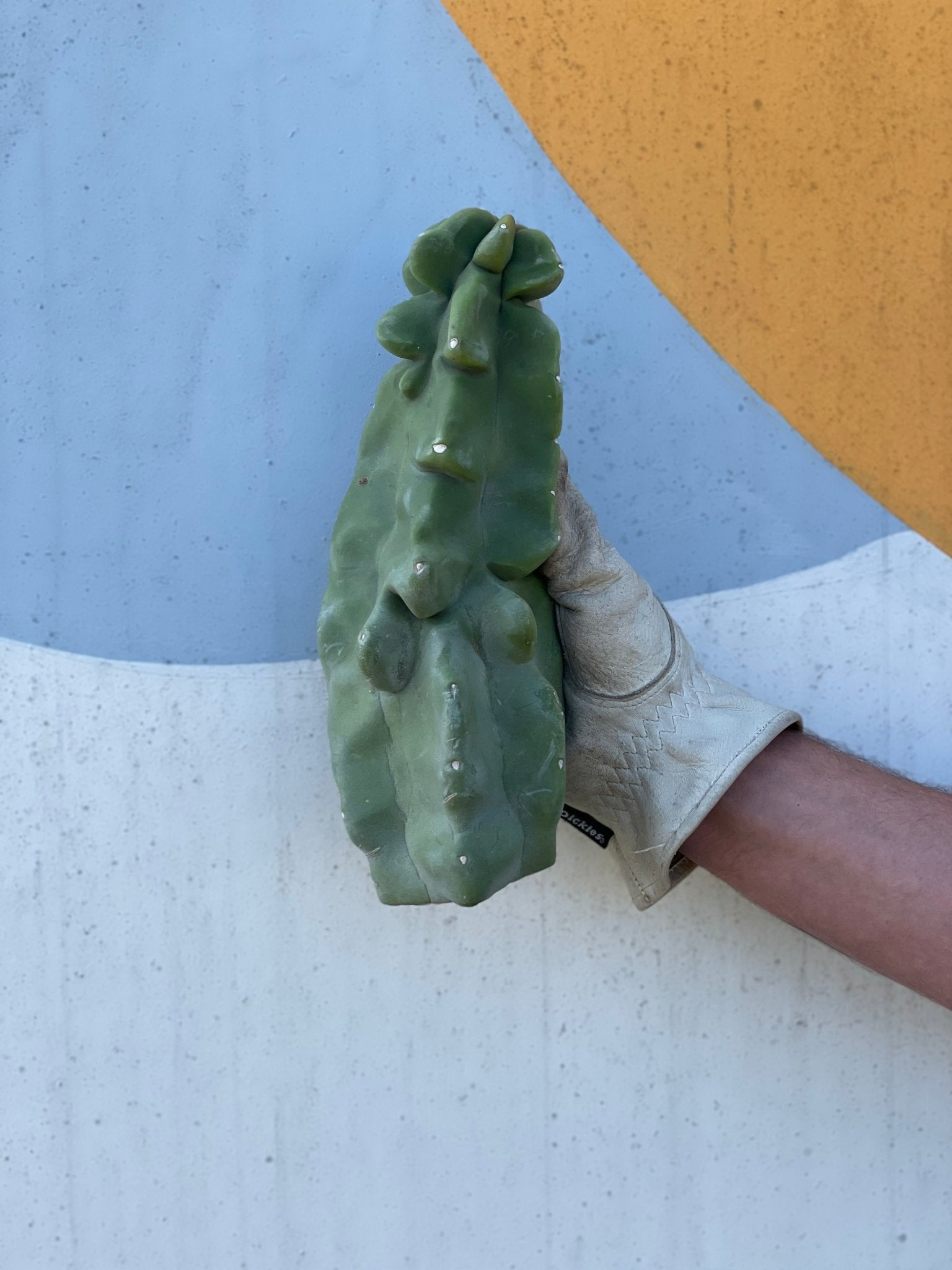 Totem Pole Cactus Cutting - cactus - Totem-Small - Varnish + Vine - 1
