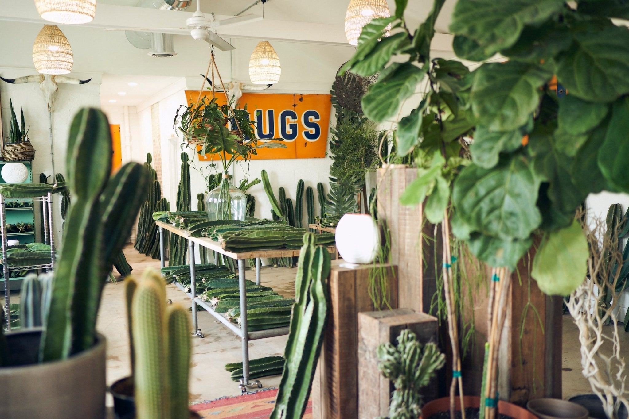 Varnish + Vine Gift Card - - Varnish + Vine - 1