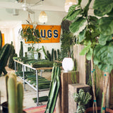 Varnish + Vine Gift Card - - Varnish + Vine - 1