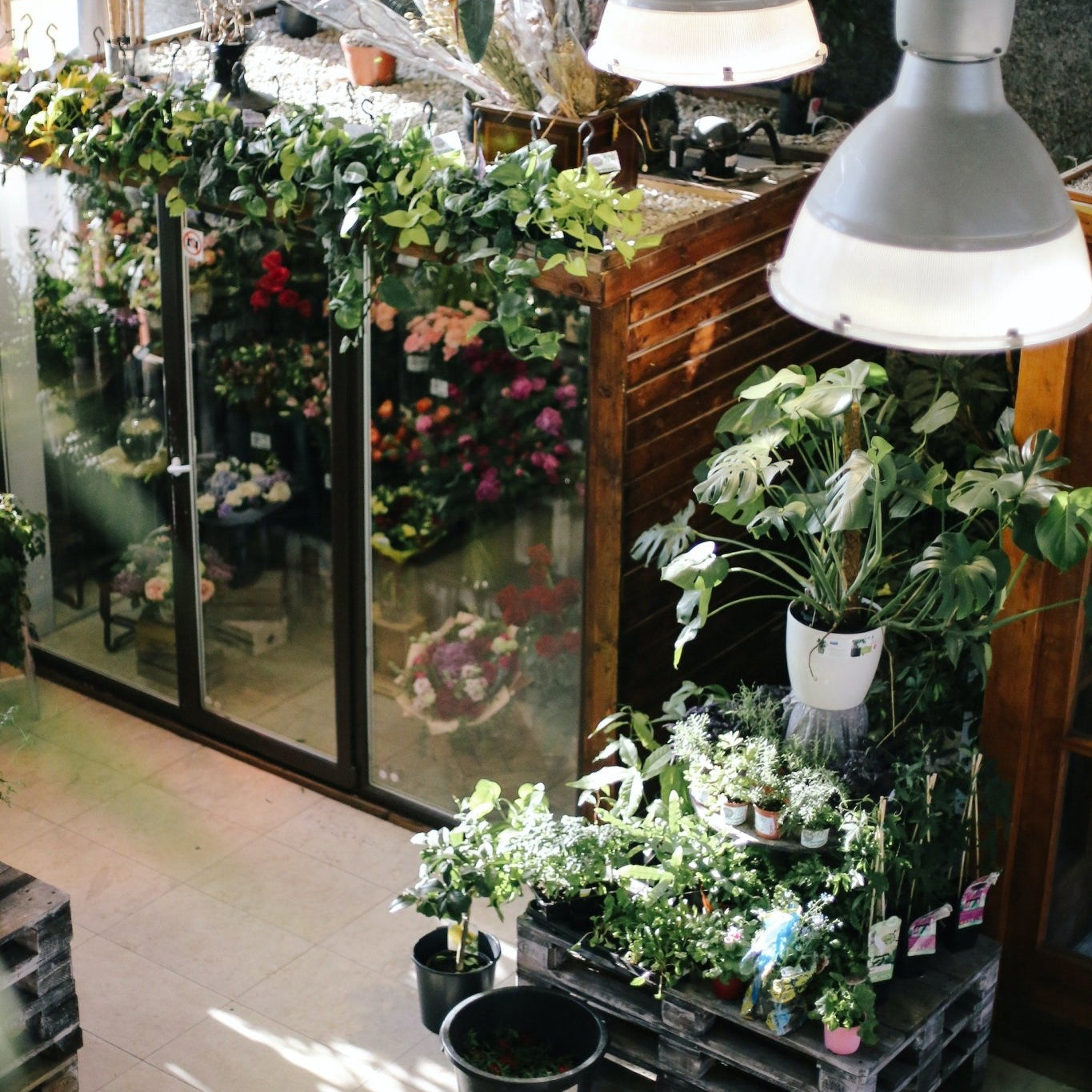 Benefits of Growing Your Own Herbs - Varnish + Vine