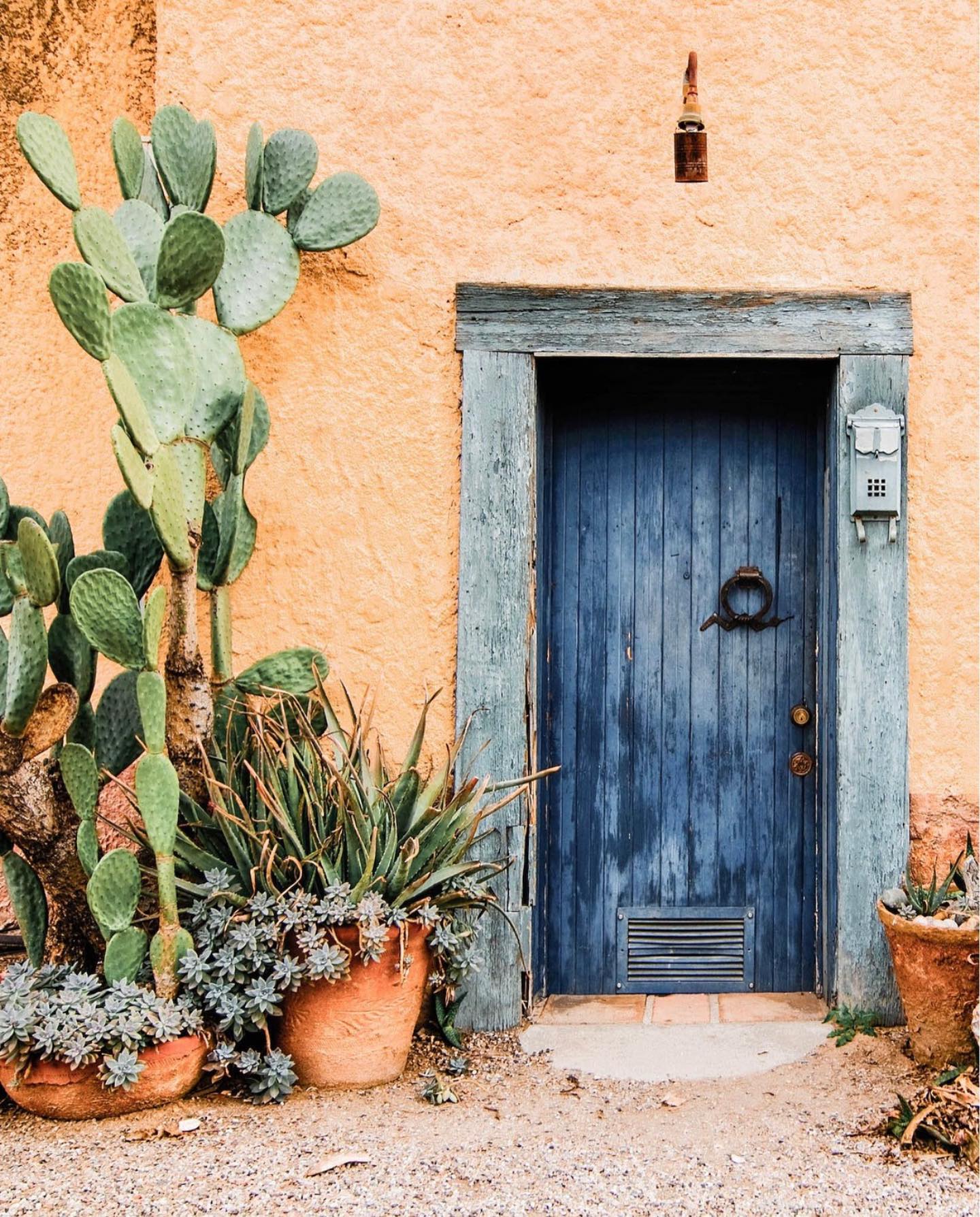 Couldn’t help but draw on the beauty of this idyllic and inviting abode to bring awareness to what each day can bring with a positive outlook. 📸 @losarangotequila 

üs - Varnish + Vine