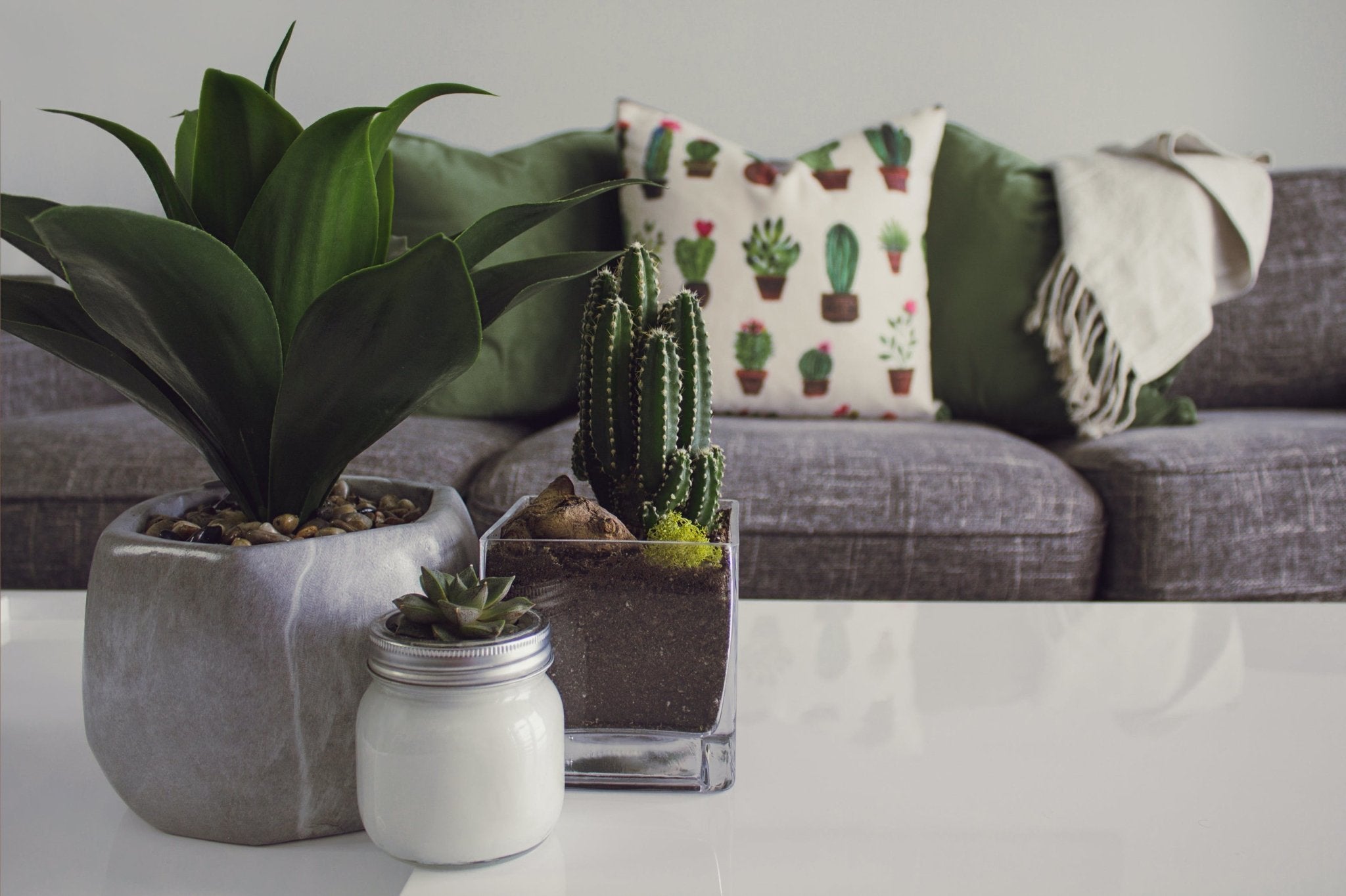 Five Ways Plants Can Improve Your Health - Varnish + Vine