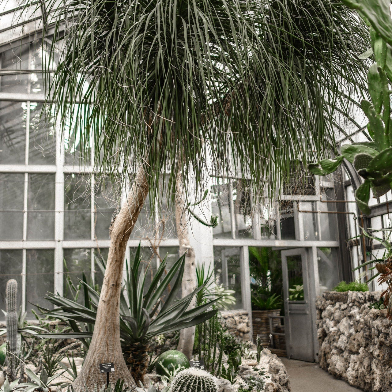 How Landscaping Can Improve Your Home's Resale Value - Varnish + Vine