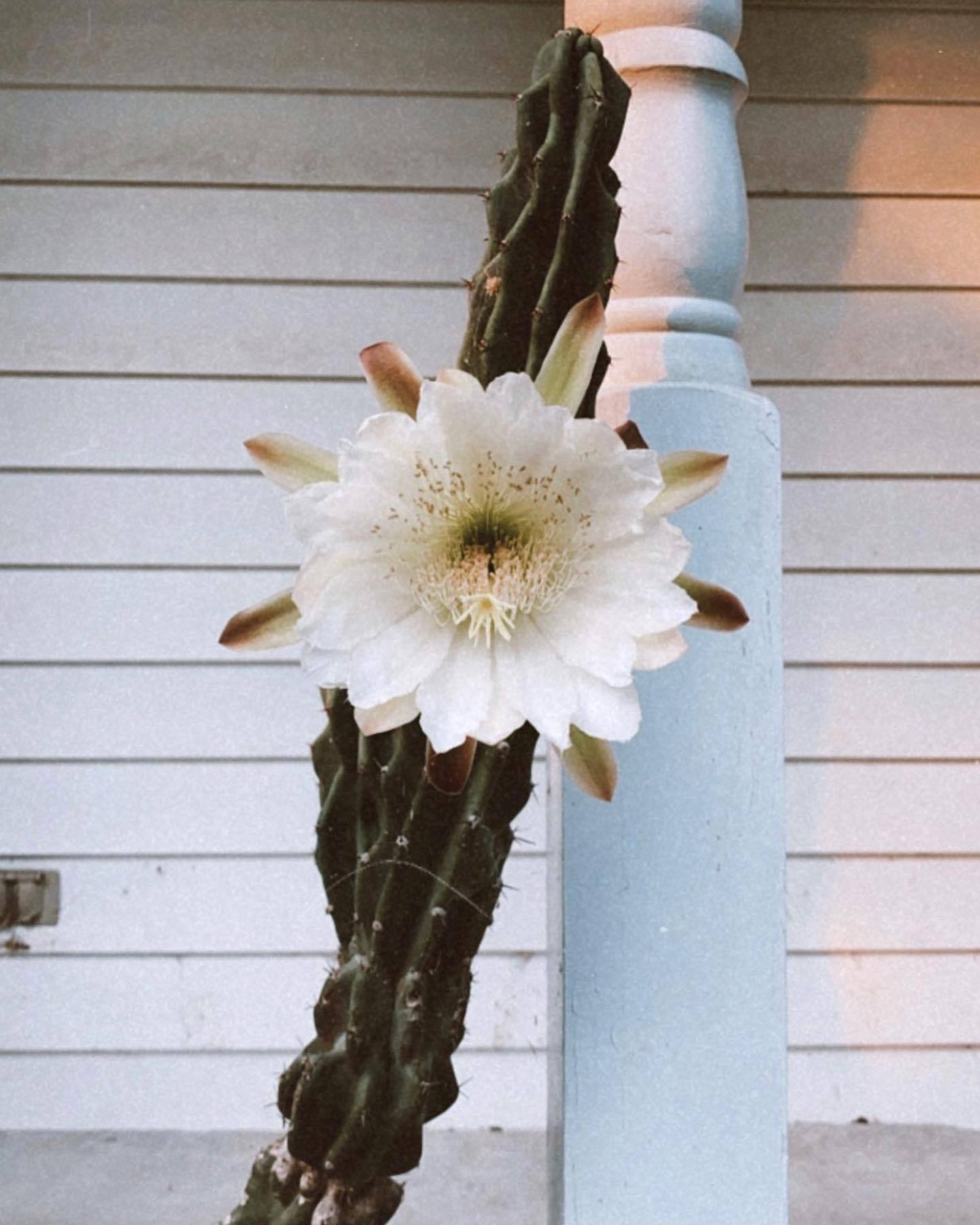 It’s the weekend! 📸 threewa Varnish + Vine