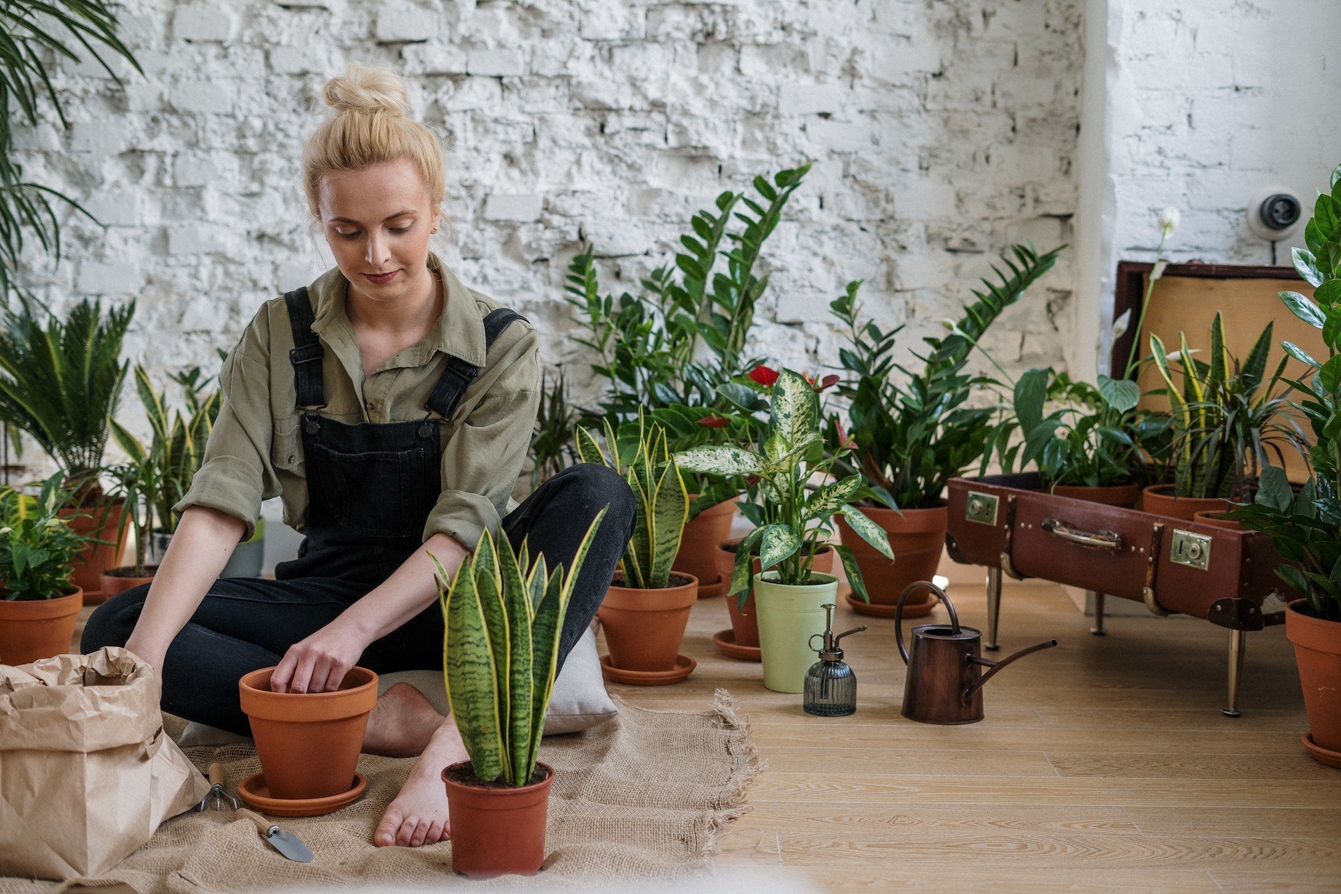 The Benefits of Green Landscaping in Your Home - Varnish + Vine