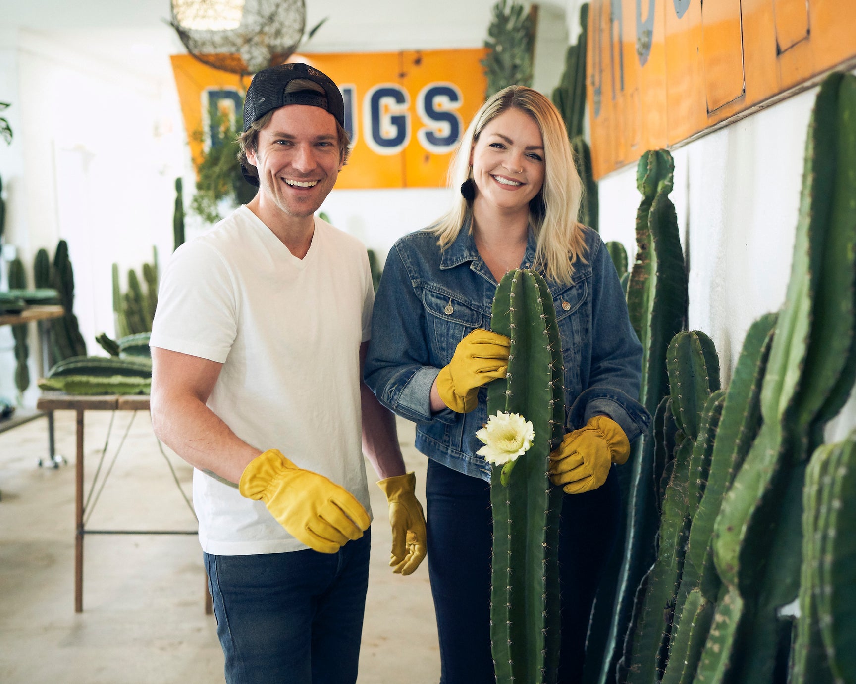 5reasonwhy Varnish + Vine