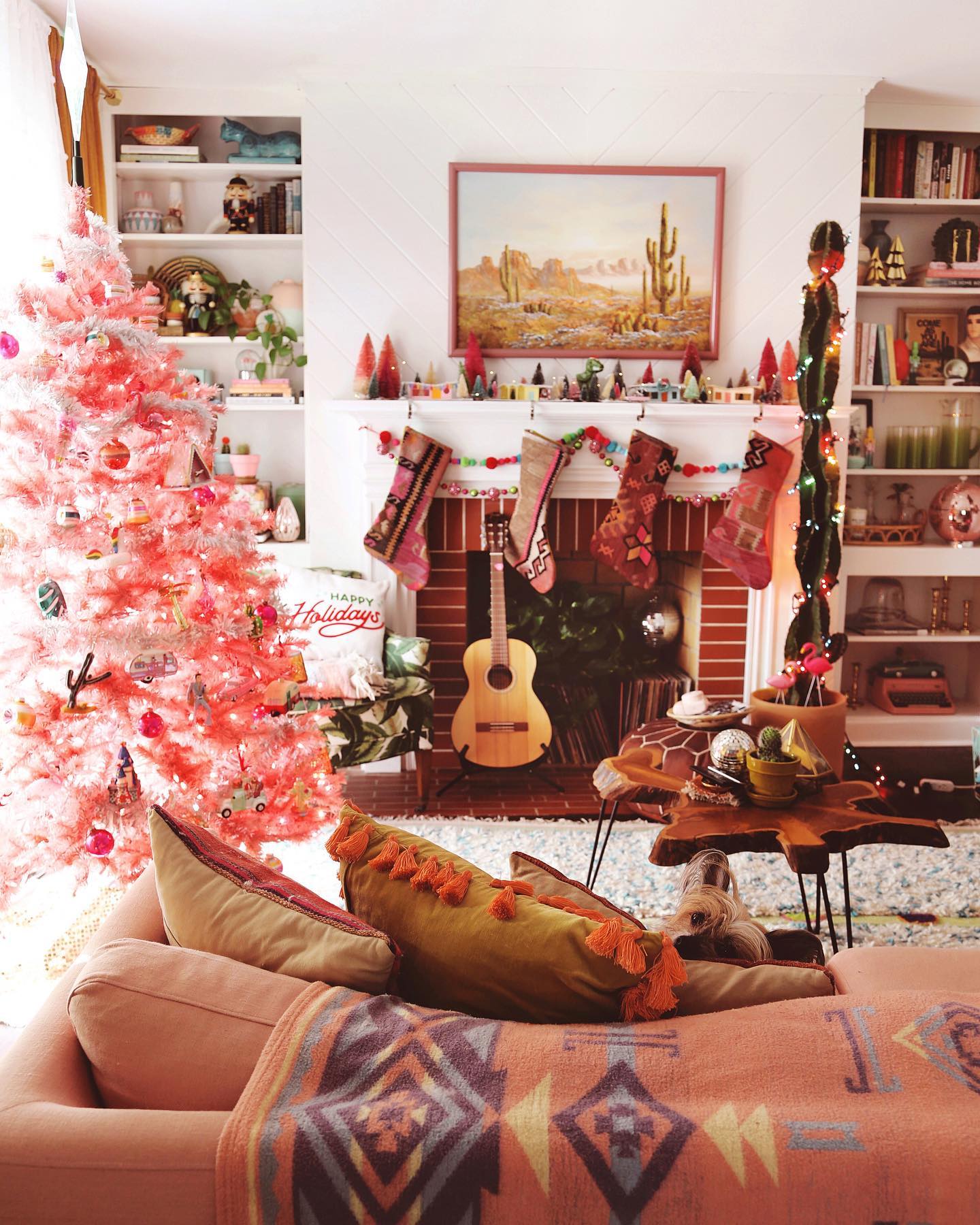 50% OFF BLACK FRIDAY IS LIVE!