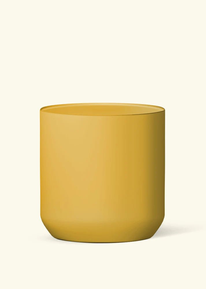 Ceramic Cylinder Planter - pot - CrCy - Y - 5 - Varnish + Vine - 6