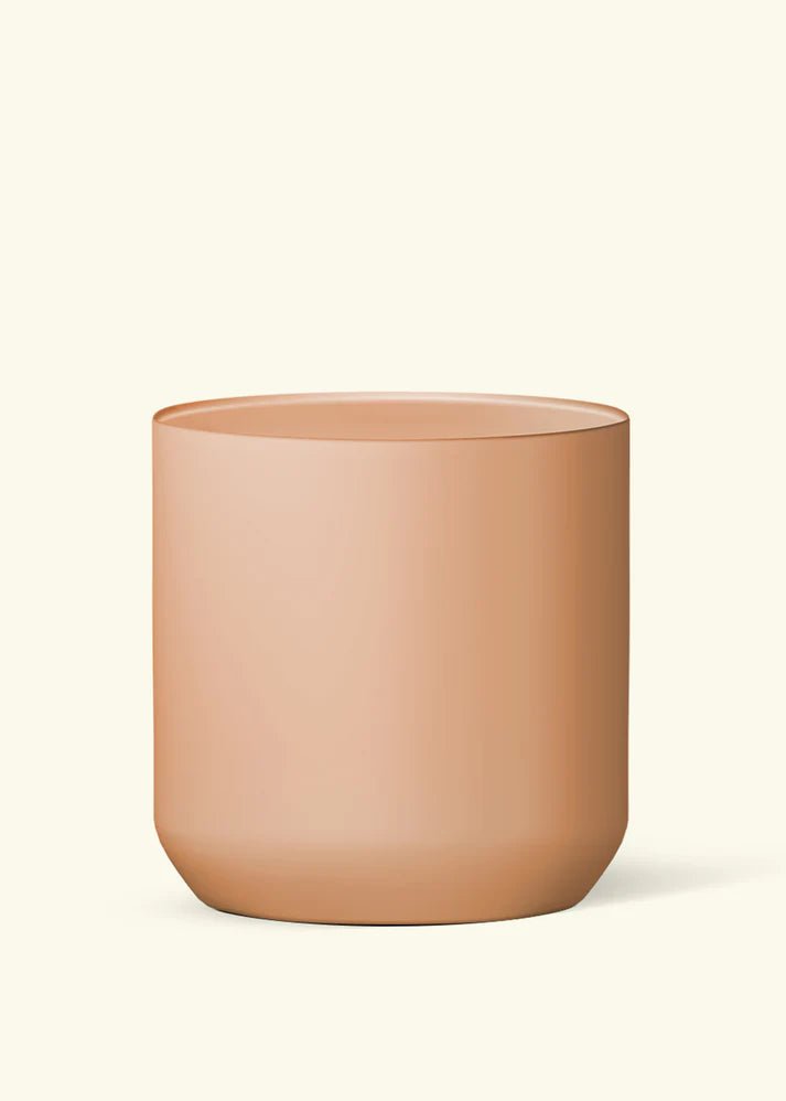 Ceramic Cylinder Planter - pot - CrCy - Ter - 5 - Varnish + Vine - 3