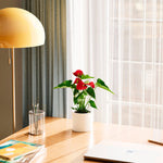 Flamingo Flower - Indoor Plants - PB_FF_ECO_CH_4IN1 - Varnish + Vine - 32