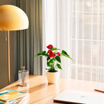 Flamingo Flower - Indoor Plants - PB_FF_ECO_CH_4IN1 - Varnish + Vine - 27