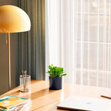 Jade Plant - Indoor Plants - PL_JPL_4IN1 - Varnish + Vine - 31