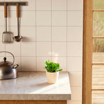 Jade Plant - Indoor Plants - PB_JPL_ECO_EG_4IN1 - Varnish + Vine - 21