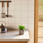 Jade Plant - Indoor Plants - PL_JPL_4IN1 - Varnish + Vine - 29