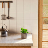 Jade Plant - Indoor Plants - PL_JPL_4IN1 - Varnish + Vine - 29