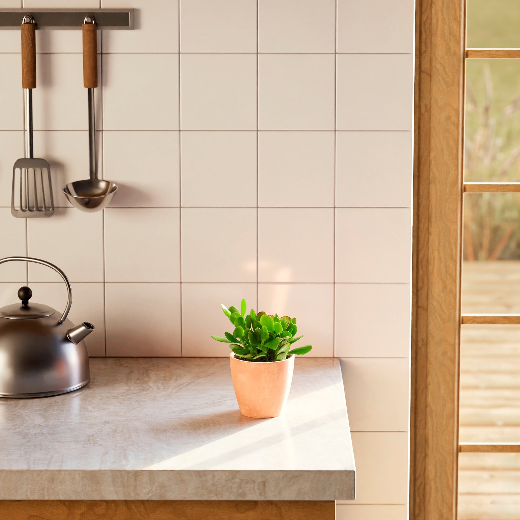 Jade Plant - Indoor Plants - PB_JPL_CP_FU_6IN1 - Varnish + Vine - 12