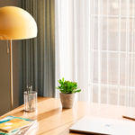 Jade Plant - Indoor Plants - PB_JPL_ECO_CO_4IN1 - Varnish + Vine - 19