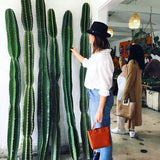 Large Peruvian Apple Cactus Cutting - cactus - Peru-2.5 - Varnish + Vine - 3