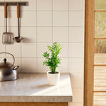 Neanthe Bella Palm - Indoor Plants - PB_NBP_ECO_CH_4IN1 - Varnish + Vine - 13