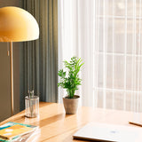 Neanthe Bella Palm - Indoor Plants - PL_NBP_4IN1 - Varnish + Vine - 22