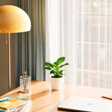 Philodendron Birkin - Indoor Plants - PB_PBK_ECO_CH_4IN1 - Varnish + Vine - 20