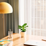 Philodendron Birkin - Indoor Plants - PB_PBK_ECO_EG_4IN1 - Varnish + Vine - 26