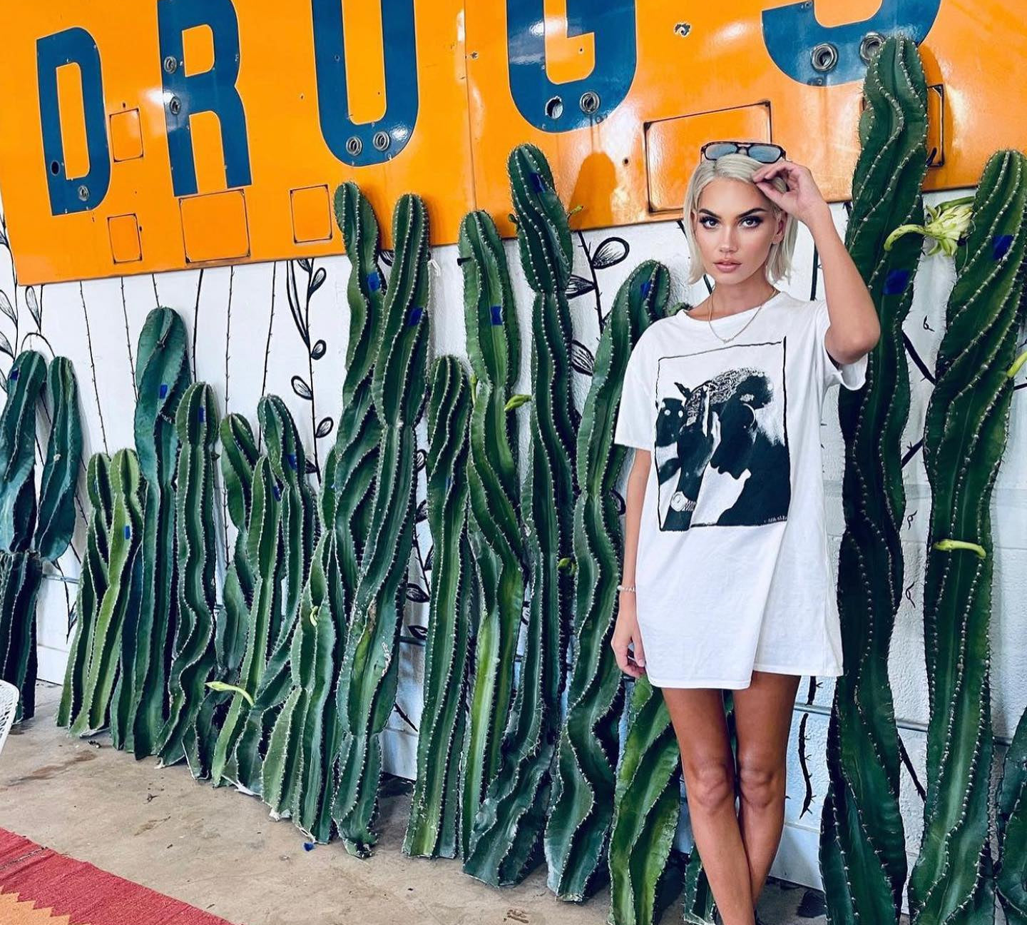 Twisty Peruvian Apple Cactus Cutting - cactus - TwistPeru-0.5 - Varnish + Vine - 3