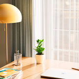 ZZ Plant - Indoor Plants - PB_ZZP_ECO_EG_4IN1 - Varnish + Vine - 19