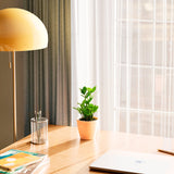 ZZ Plant - Indoor Plants - PL_ZZP_4IN1 - Varnish + Vine - 37