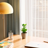 ZZ Plant - Indoor Plants - PB_ZZP_ECO_CO_4IN1 - Varnish + Vine - 30