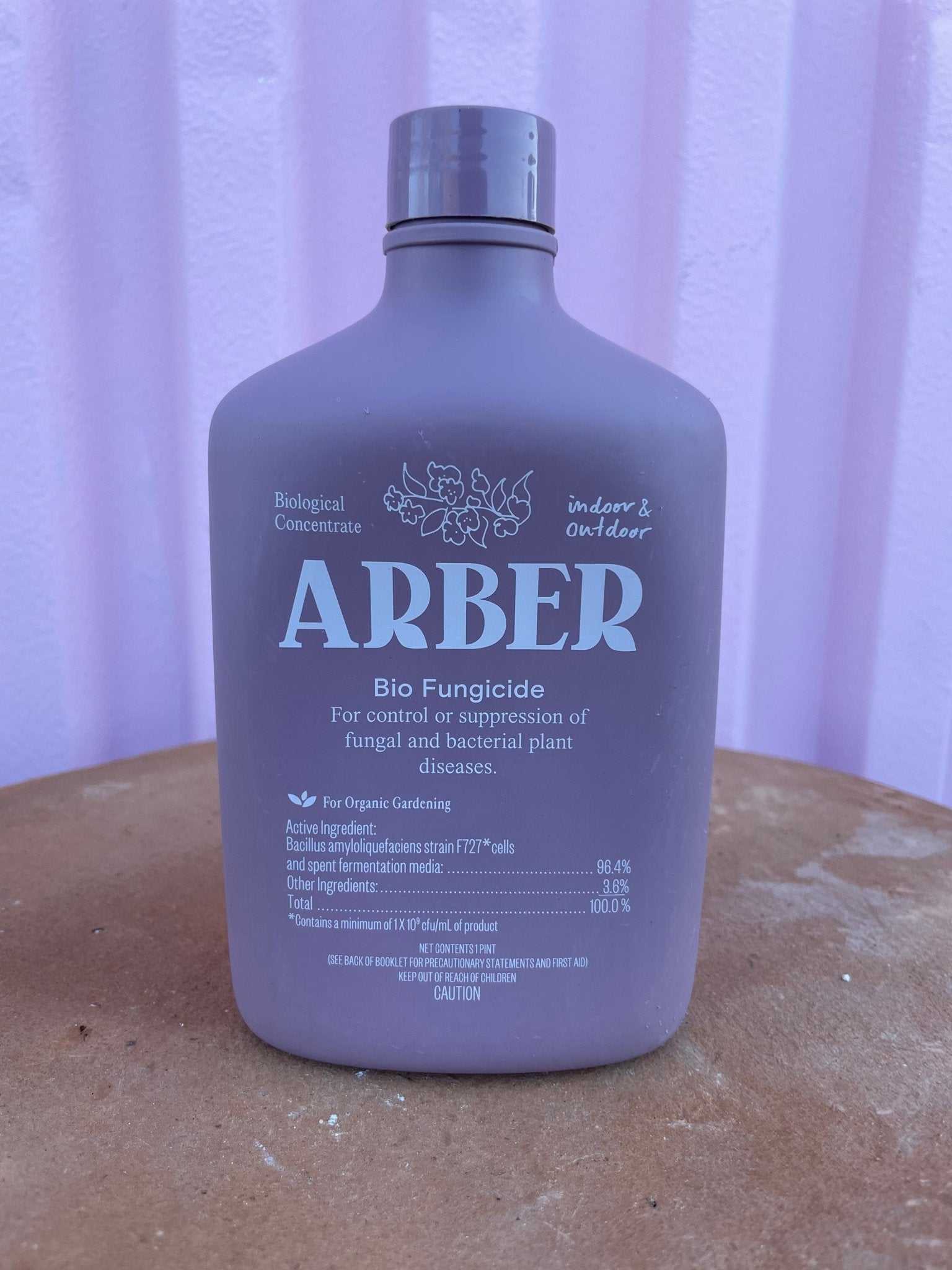 Arber Plant Supplies - plant care - Root-Arber-BF - Varnish + Vine - 4