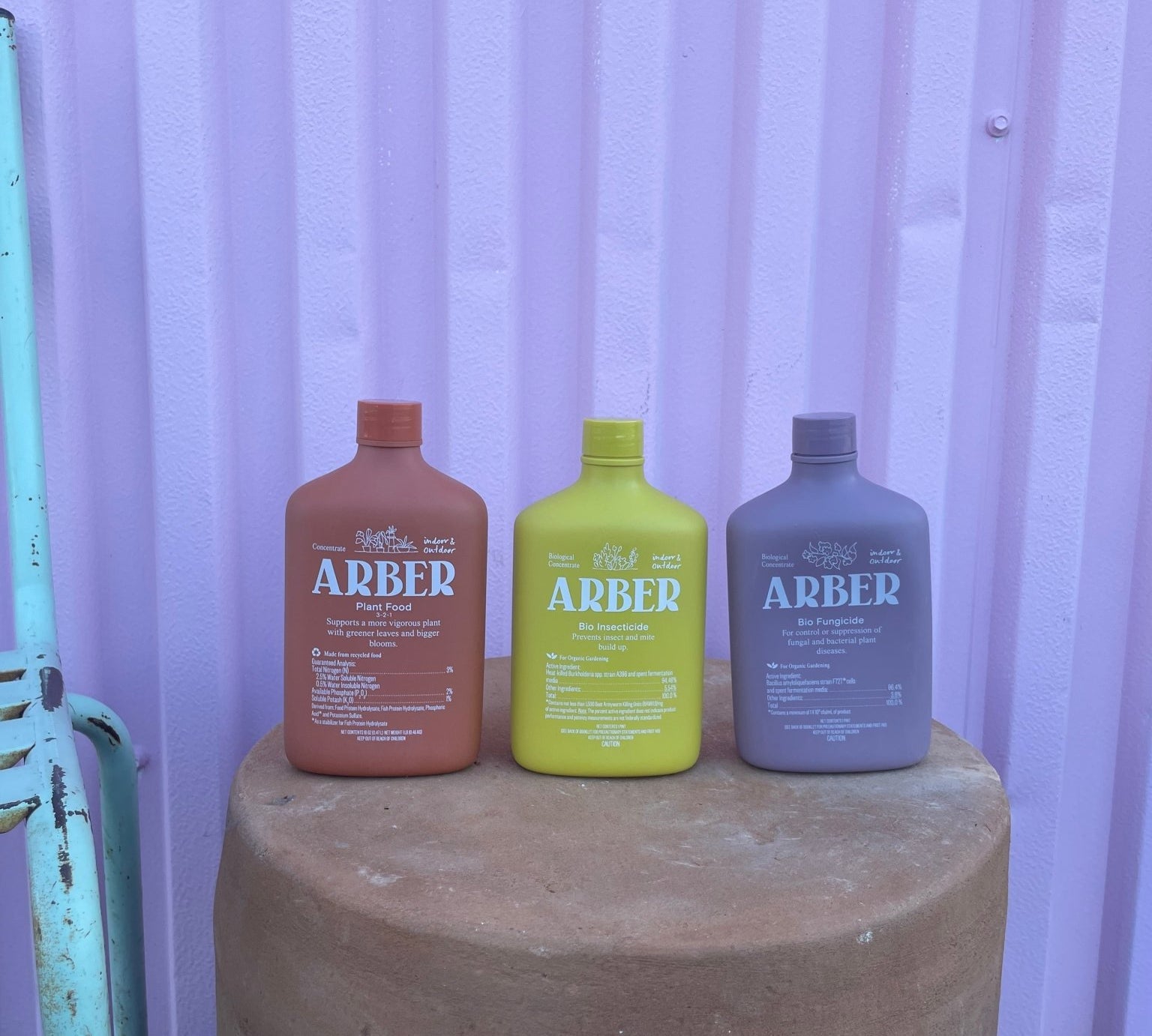 Arber Plant Supplies - plant care - Root-Arber-PF - Varnish + Vine - 2