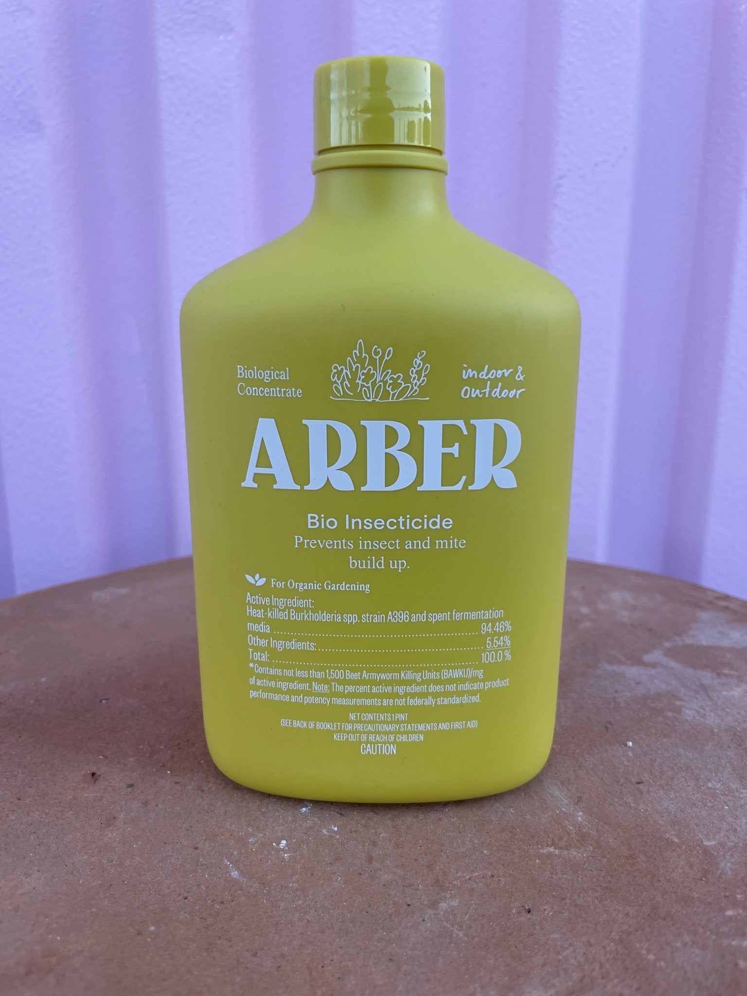 Arber Plant Supplies plant care Varnish + Vine