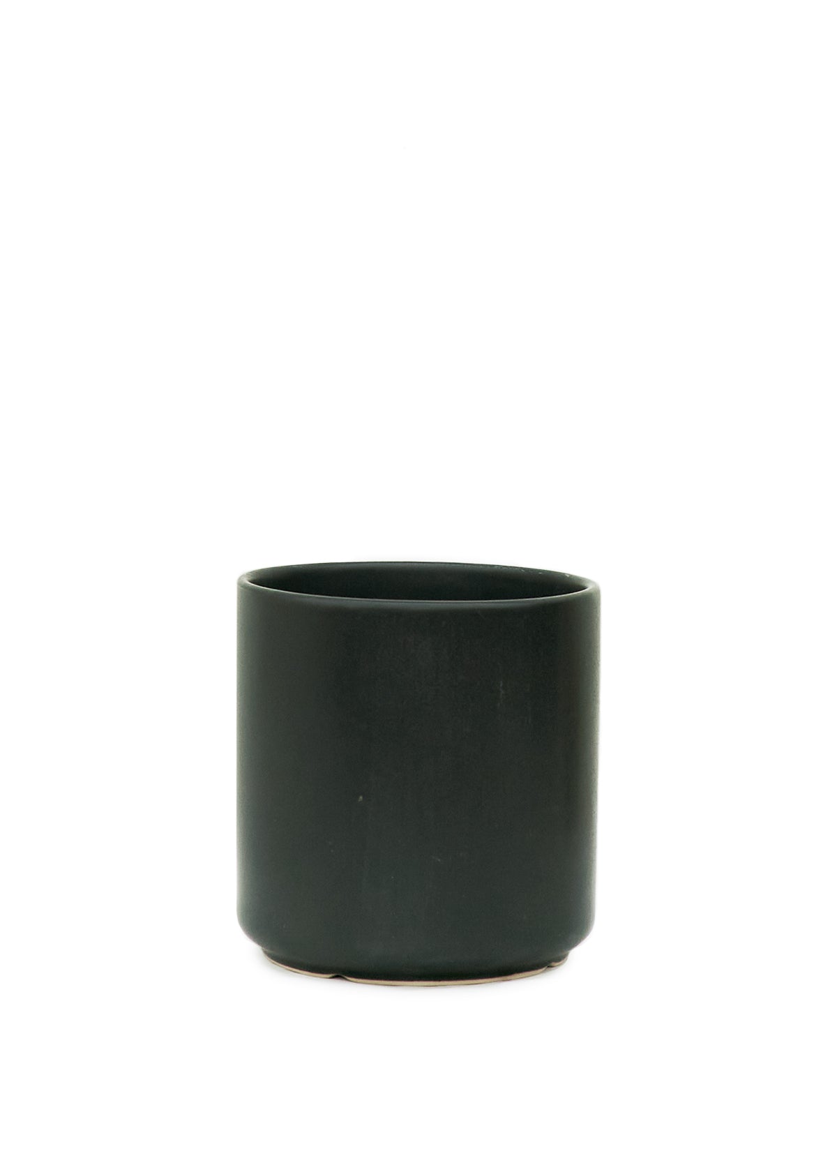 Cactus Cutting and Ceramic Pot (5 Inch) - 5InCactus-1 - Varnish + Vine - 5