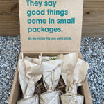 Mini Cactus Box - cactus - Mini-Cacti-Grow - Varnish + Vine - 2