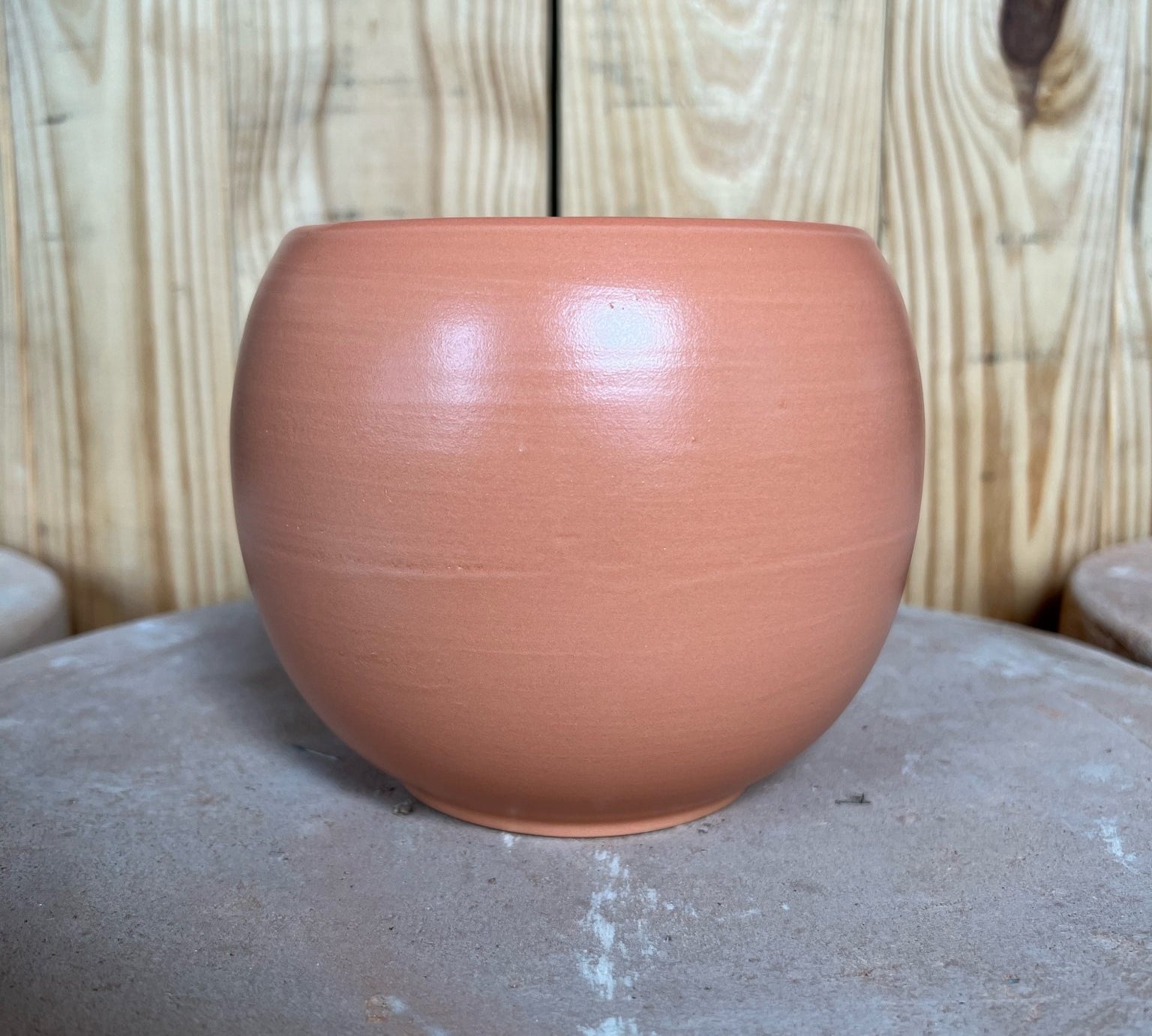 Spherical Planter - pot - Root-Pot-Sph-W - Varnish + Vine - 1