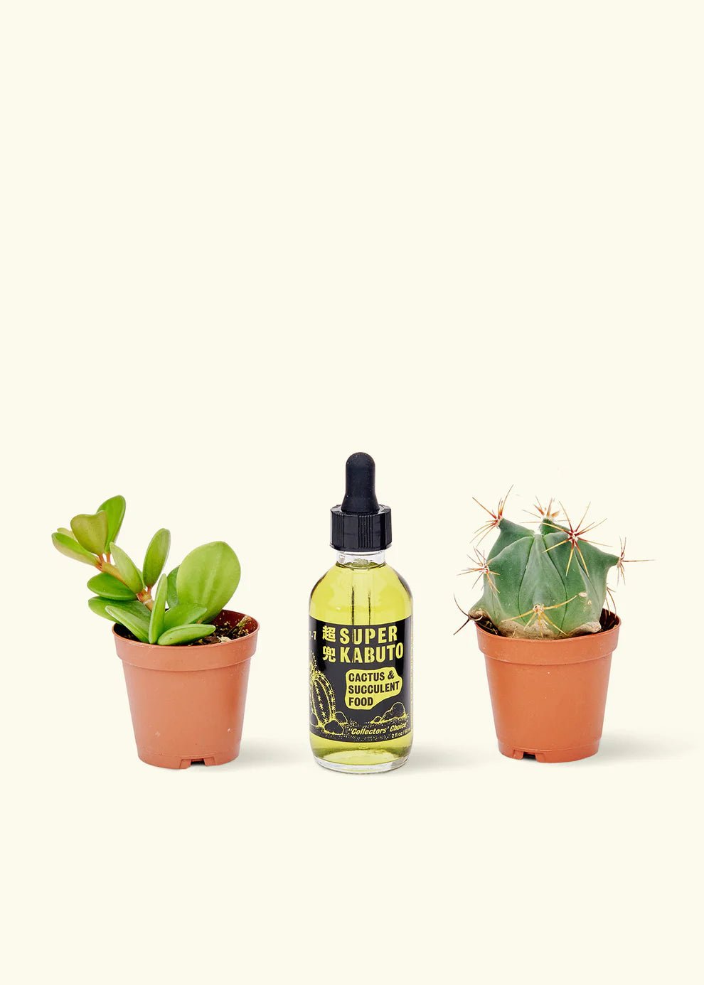 Super Kabuto Cactus Food - plant care - SUPER-KABUTO - Varnish + Vine - 1