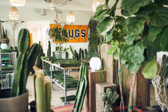 Varnish + Vine Gift Card - - Varnish + Vine - 1